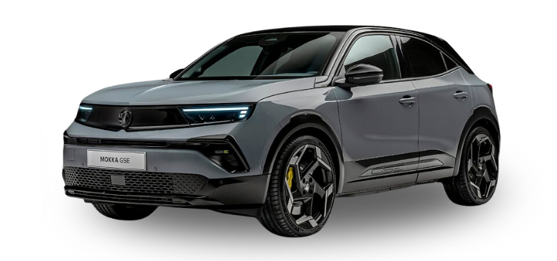 Mokka GSE